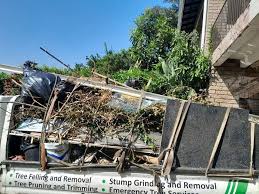 Best Hoarding Cleanup  in Waynesville, MO